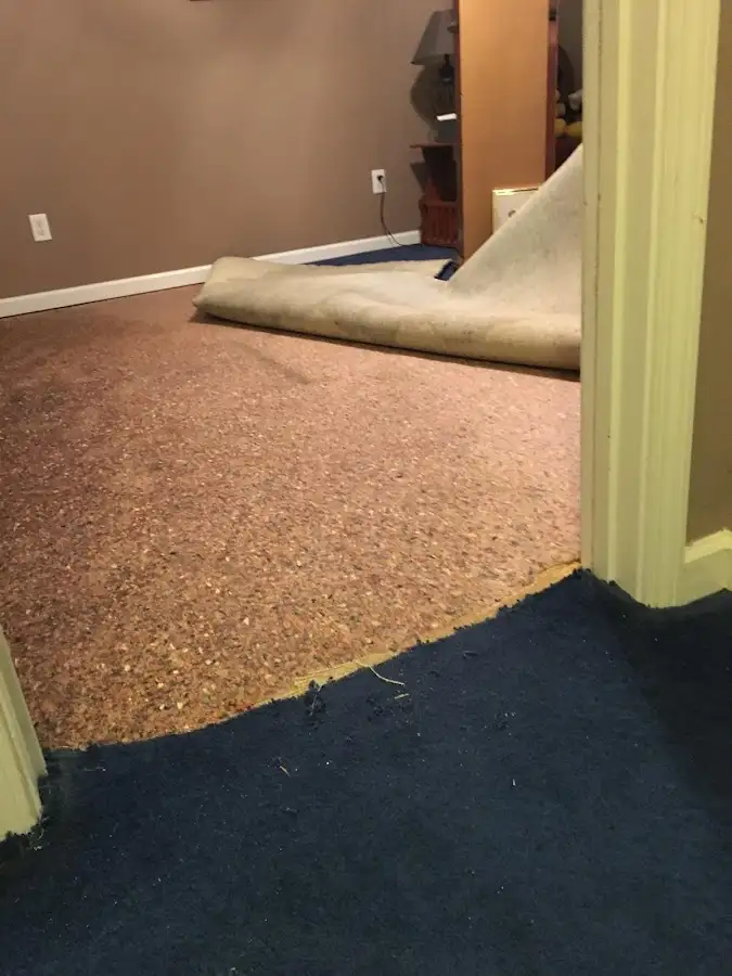 Carpet pad removal revealing water damage during Water Mitigation Services in Hartland